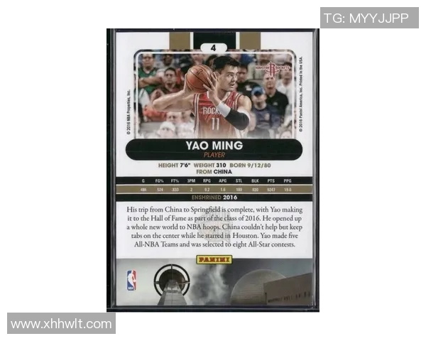 假装姚明的人在篮球场上的奇幻冒险与自我发现之旅