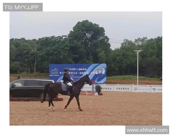 马术界的姚明如何在国际赛场上书写中国骑术的新篇章